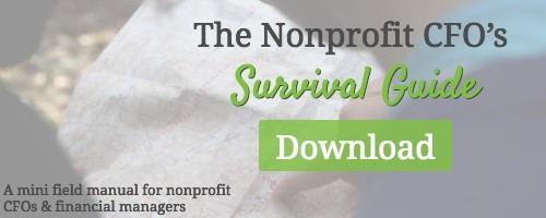 nonprofit financial management cfo guide